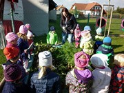 Sklízíme úrodu na školní zahrádce